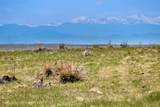 5129 Tom Bay Road - Photo 3