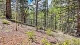 Lot 60 Monarch Drive - Photo 27
