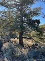  Tbd Wildhorse Drive - Photo 24