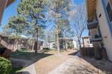 12108 Melody Drive - Photo 14