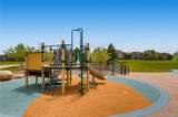 26945 Costilla Drive - Photo 48
