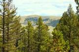 2882 Middle Fork Vista - Photo 1