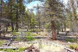 2882 Middle Fork Vista - Photo 11