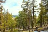 2882 Middle Fork Vista - Photo 12