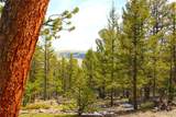 2882 Middle Fork Vista - Photo 13