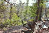 2882 Middle Fork Vista - Photo 14