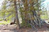 2882 Middle Fork Vista - Photo 17