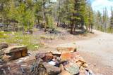 2882 Middle Fork Vista - Photo 7