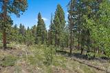 927 Forest Drive - Photo 1