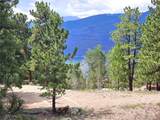 368 Parry Peak Drive - Photo 11