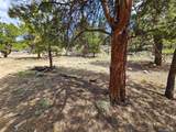368 Parry Peak Drive - Photo 4