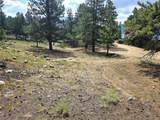 368 Parry Peak Drive - Photo 7