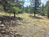 368 Parry Peak Drive - Photo 8