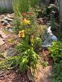 6760 98th Circle - Photo 35