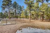 36424 Forest Trail - Photo 2