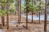 36424 Forest Trail - Photo 3