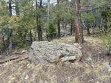 313 Arrastre Road - Photo 15