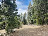 313 Arrastre Road - Photo 5