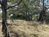 313 Arrastre Road - Photo 10
