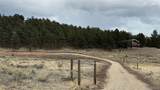 266 Good Hope Drive - Photo 4