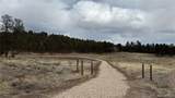 266 Good Hope Drive - Photo 5