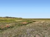 11750 State Highway 83 - Photo 11