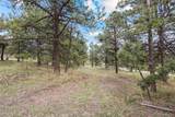 6068 Skyline Drive - Photo 11