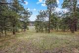 6068 Skyline Drive - Photo 12