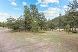 6068 Skyline Drive - Photo 37
