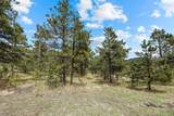6068 Skyline Drive - Photo 9
