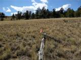 99 Pack Saddle Court - Photo 12