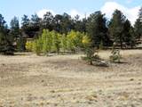 99 Pack Saddle Court - Photo 18