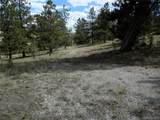 99 Pack Saddle Court - Photo 7