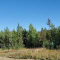 281 Polar Bear Lane - Photo 7