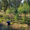 281 Polar Bear Lane - Photo 9