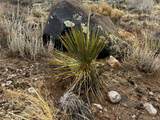 Lot 4 Twentieth Street - Photo 9