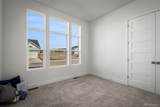 17234 Alsike Clover Court - Photo 31