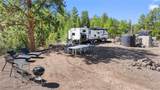 2057 Horse Thief Gulch Road - Photo 11