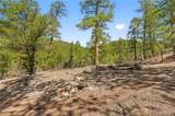 2057 Horse Thief Gulch Road - Photo 5