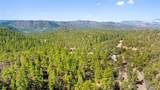 2057 Horse Thief Gulch Road - Photo 44