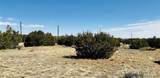 Lot 61 Buffalo Drive - Photo 6