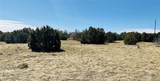 Lot 61 Buffalo Drive - Photo 7