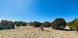 Lot 61 Buffalo Drive - Photo 8
