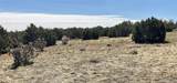 Lot 61 Buffalo Drive - Photo 9