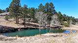 494 Thunder Road - Photo 50