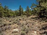  Overlook  Dr - Photo 18
