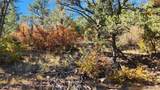 TBD L 42nd Trail - Photo 13