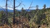 TBD L 42nd Trail - Photo 15