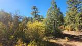 TBD L 42nd Trail - Photo 16