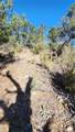 TBD L 42nd Trail - Photo 19